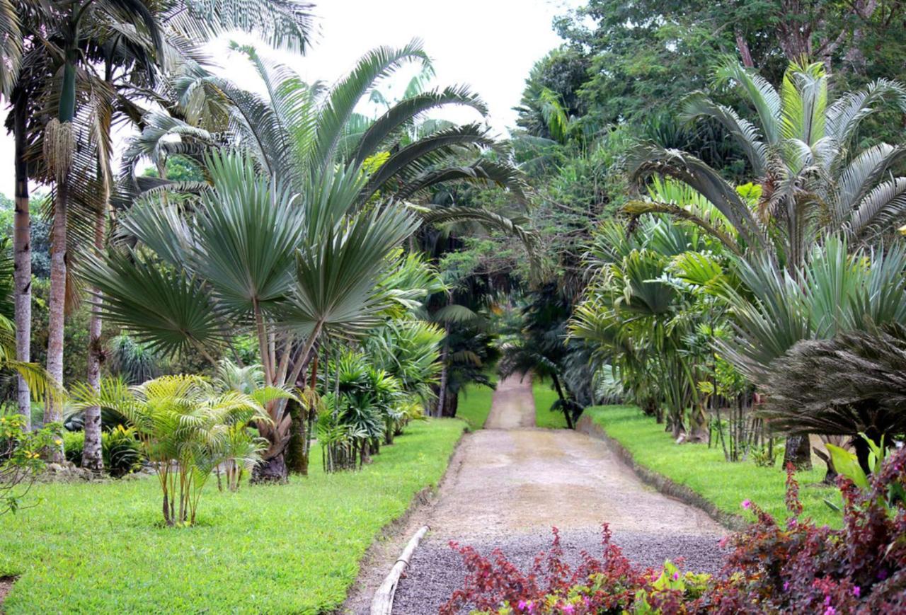 Bnb Tropical Island Aparthotel - Corales Del Sur - Santo Domingo Este Eksteriør billede